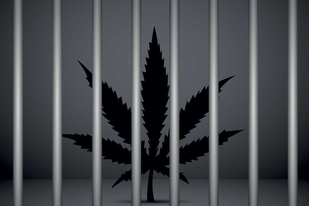 Image: Senate Democrats’ continuous fight to end jail time for marijuana